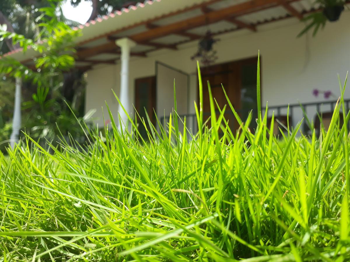 Akila Holiday Resort Habarana Dış mekan fotoğraf